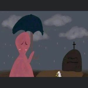 Meet your Posher, Lucy mar